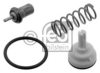 VW 03C121110PS1 Thermostat, coolant